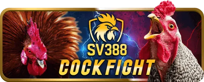 Trò chơi nổ hũ và máy đánh bạc